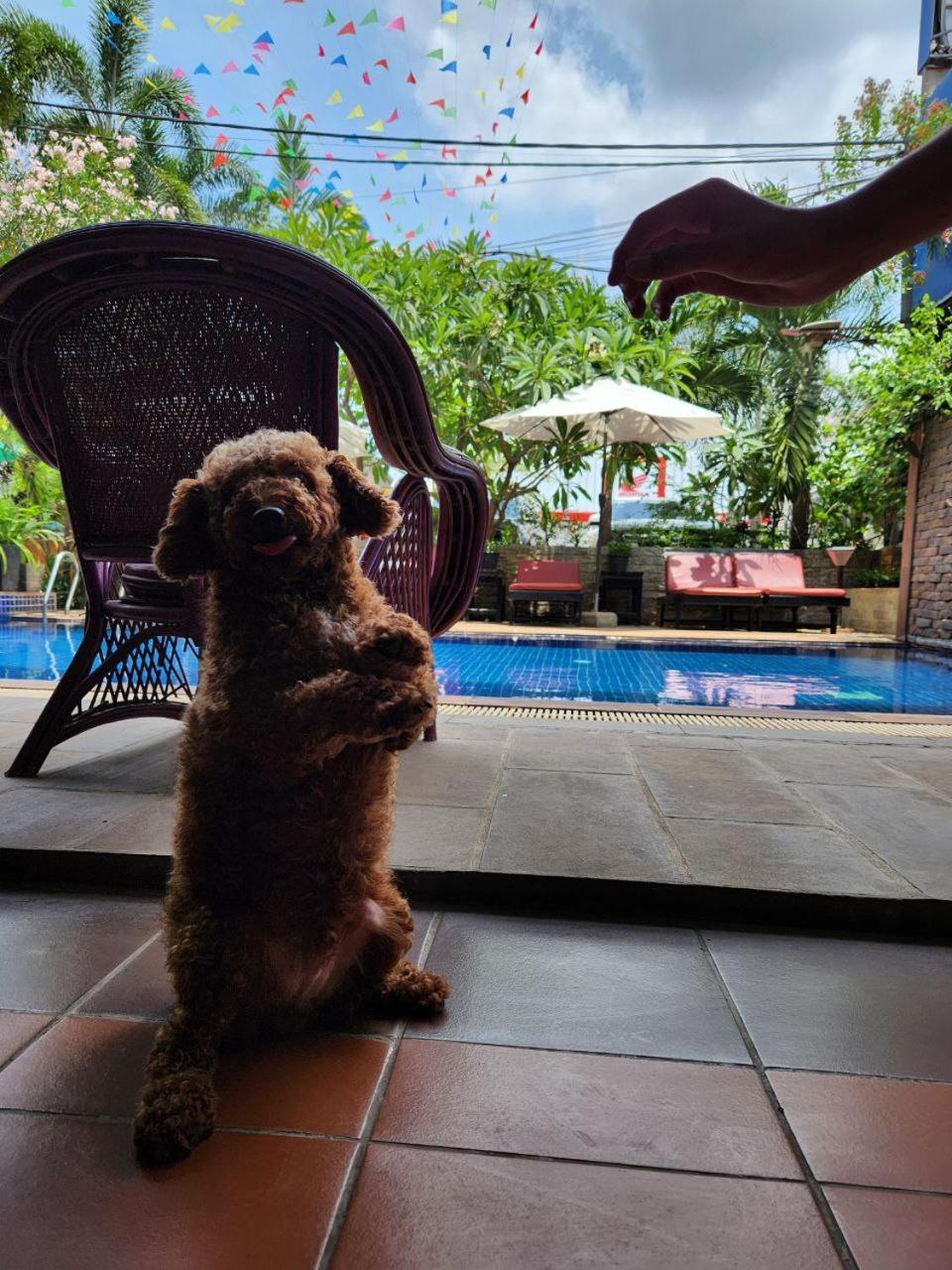 Jasmine Lodge Siem Reap Exteriör bild