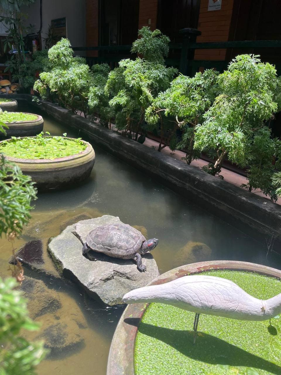 Jasmine Lodge Siem Reap Exteriör bild